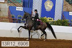 13r12_6906 proof