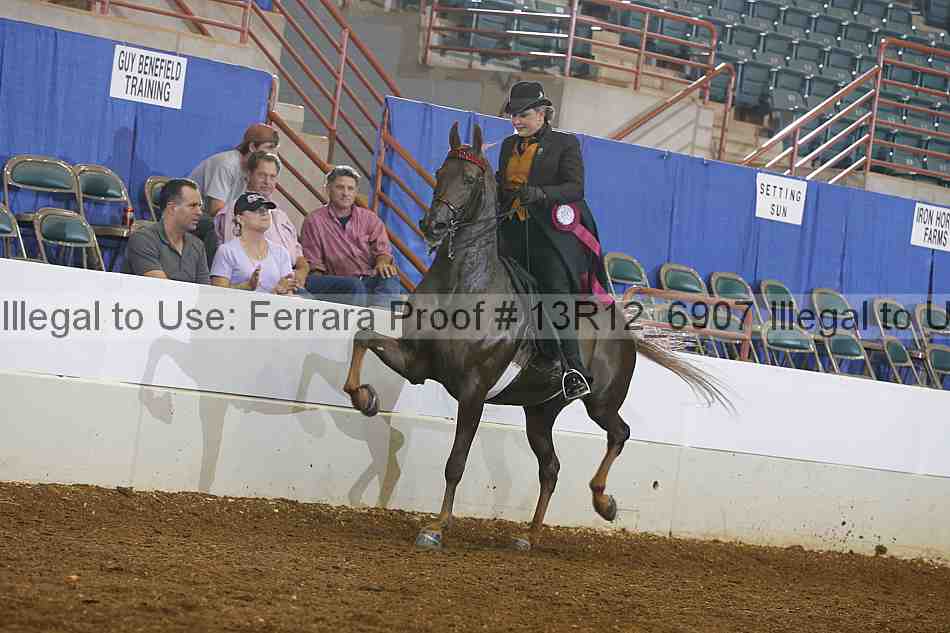Proof 13r12_6907