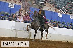13r12_6907 proof