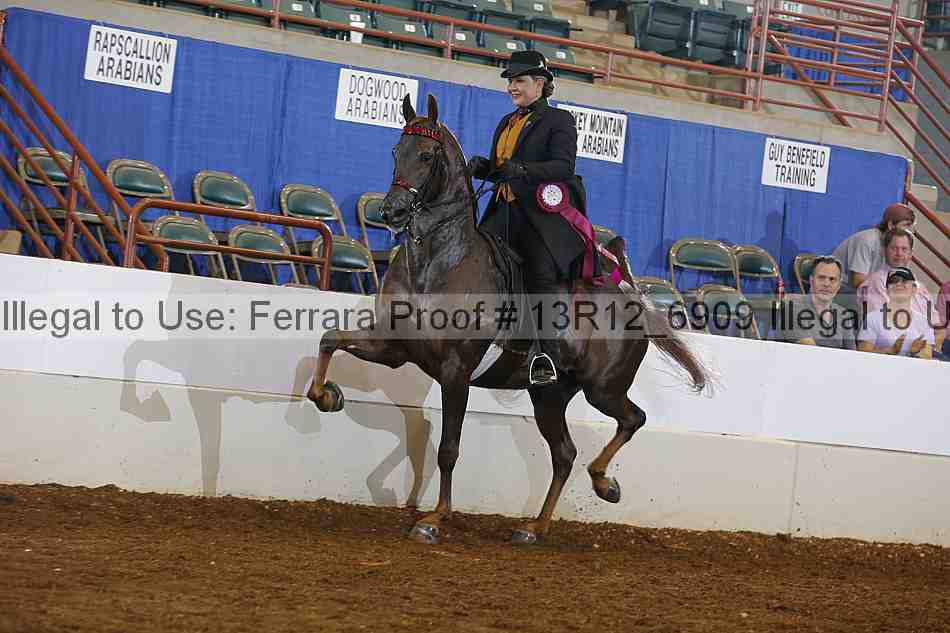 Proof 13r12_6909