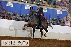 13r12_6909 proof