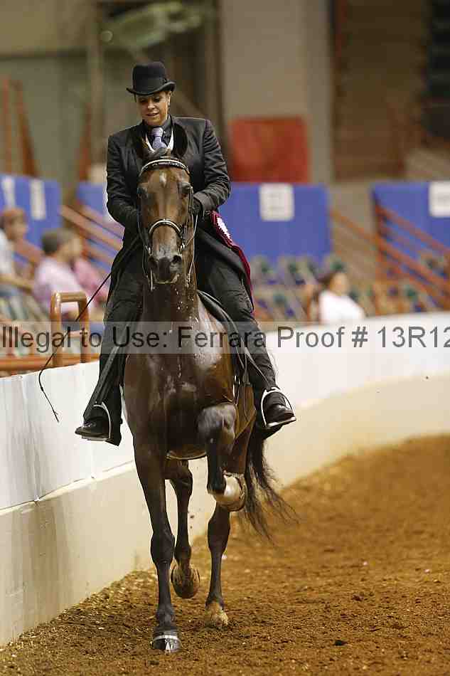 Proof 13r12_6910