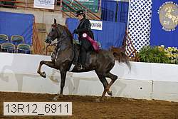 13r12_6911 proof