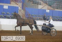 13r12_6930 proof