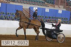 13r12_6932 proof