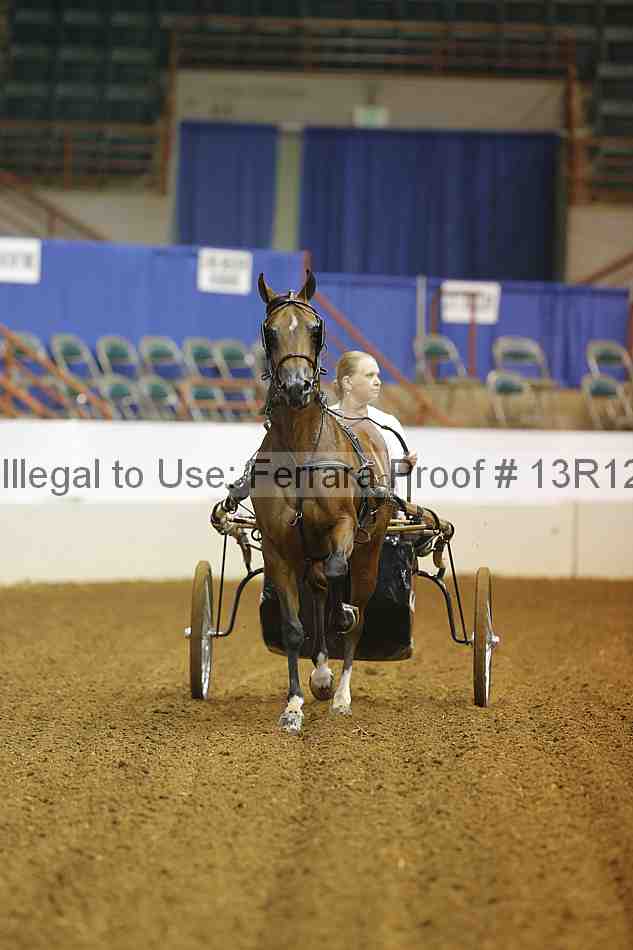 Proof 13r12_6933