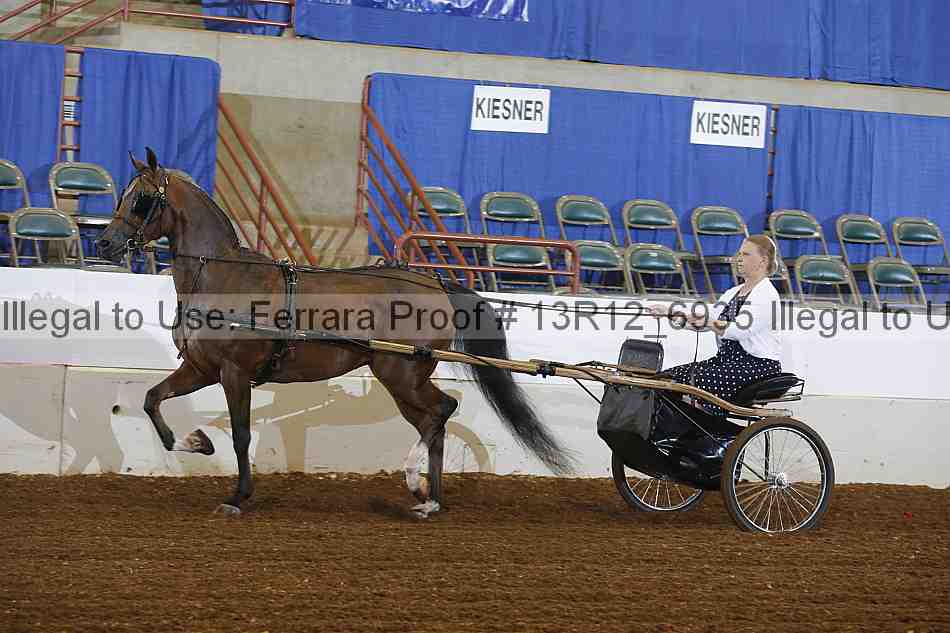 Proof 13r12_6935