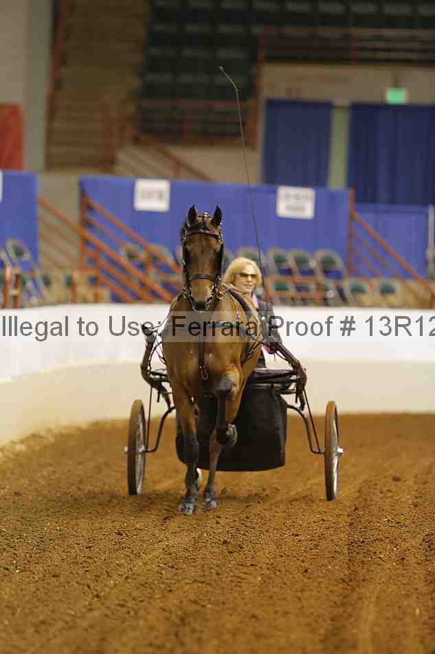 Proof 13r12_6936