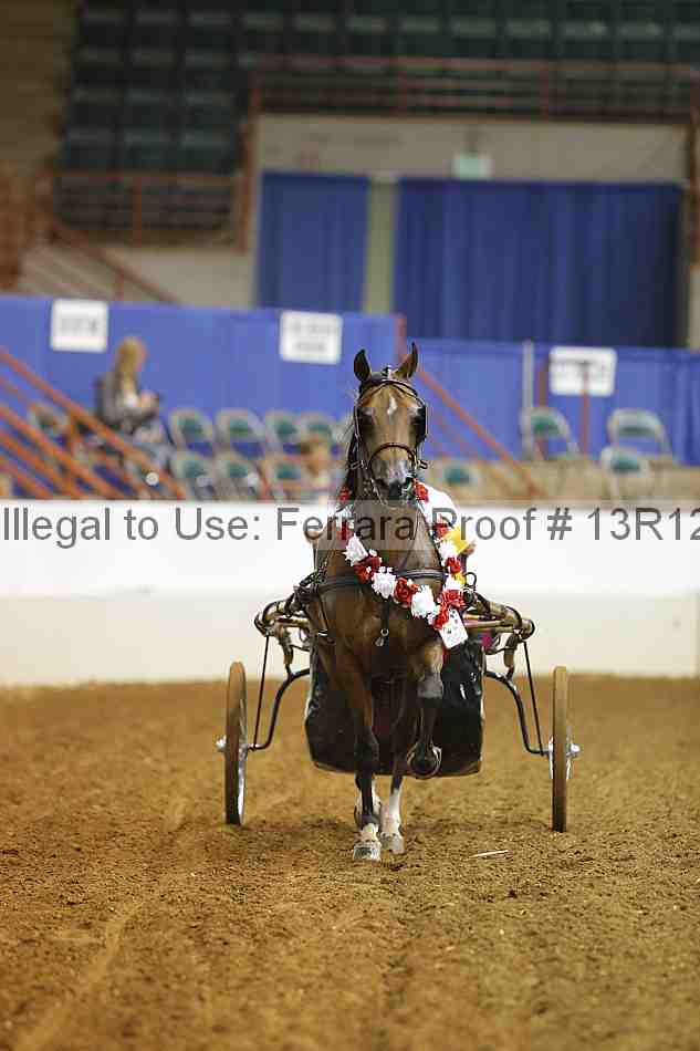 Proof 13r12_6941