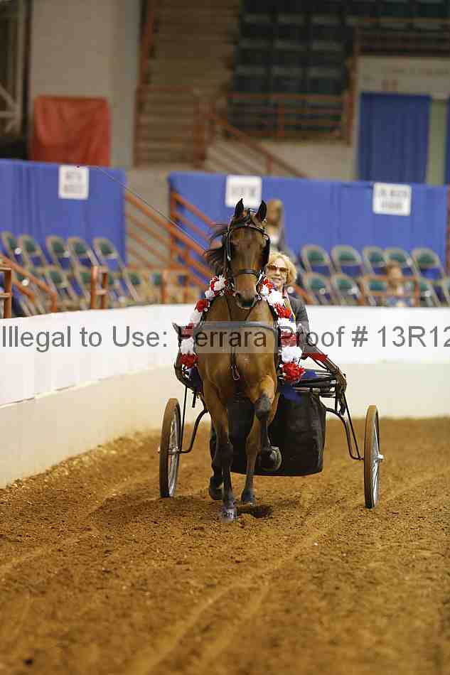 Proof 13r12_6945