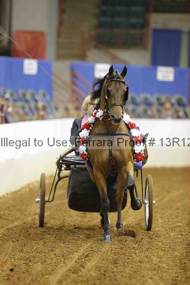 Proof 13r12_6946