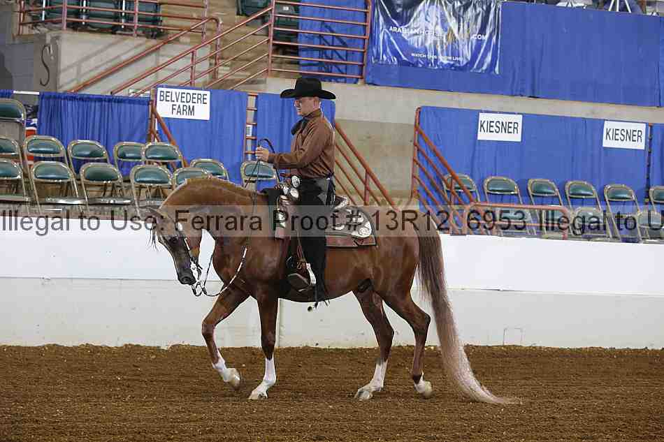 Proof 13r12_6953