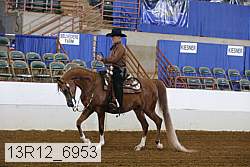 13r12_6953 proof