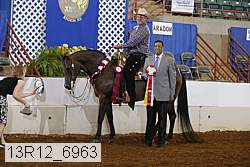 13r12_6963 proof