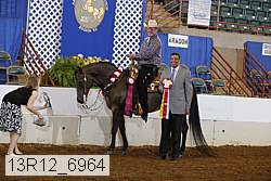13r12_6964 proof