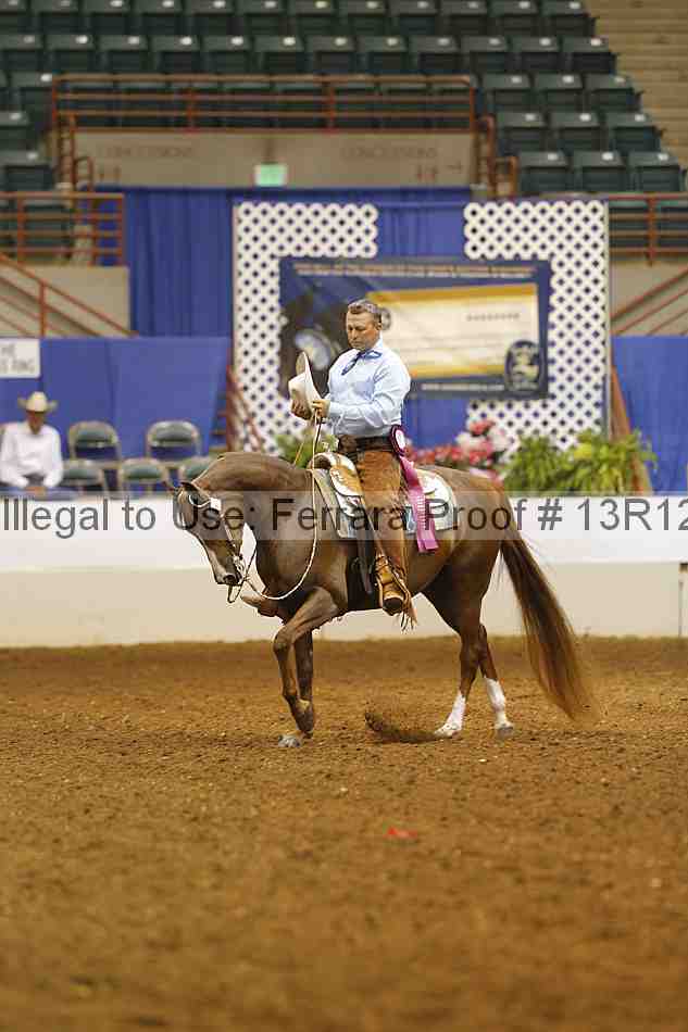 Proof 13r12_6965