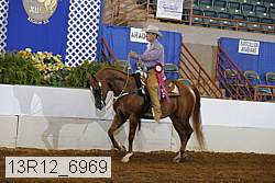 13r12_6969 proof