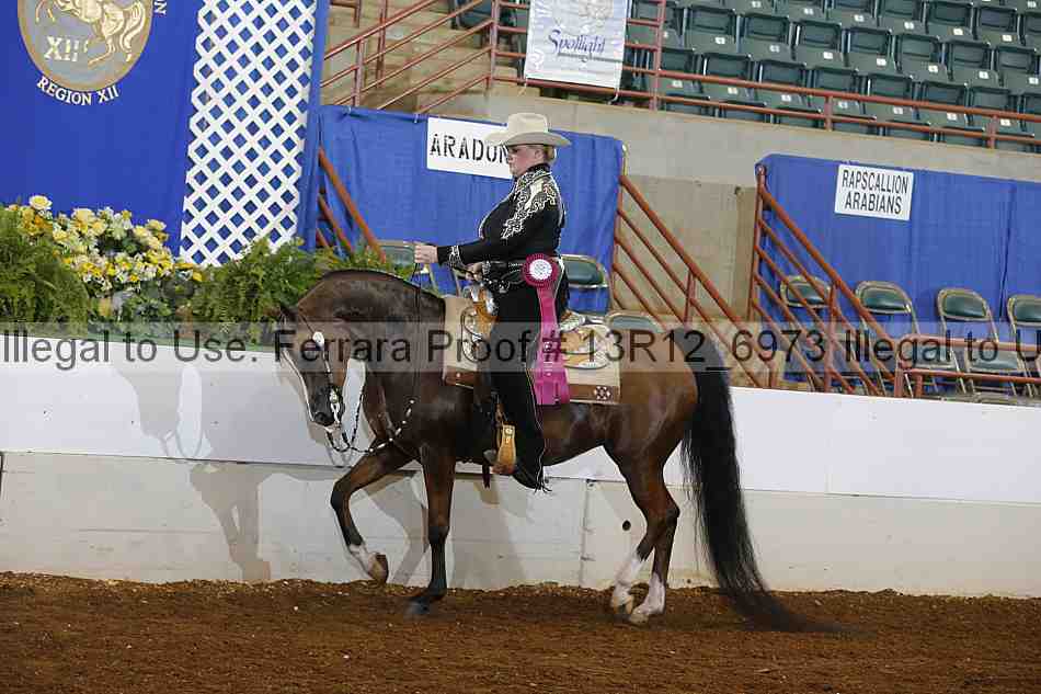 Proof 13r12_6973
