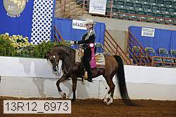 13r12_6973 proof
