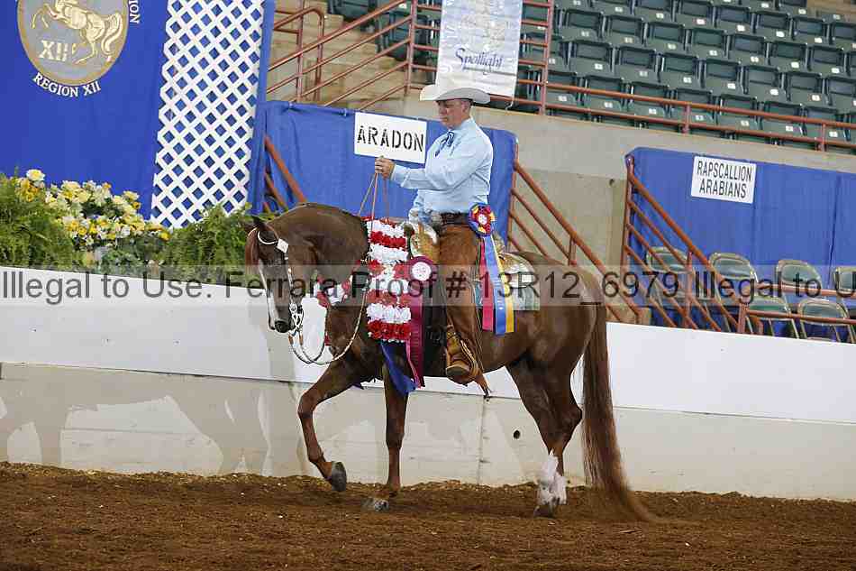 Proof 13r12_6979