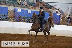 13r12_6986 proof