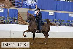 13r12_6987 proof