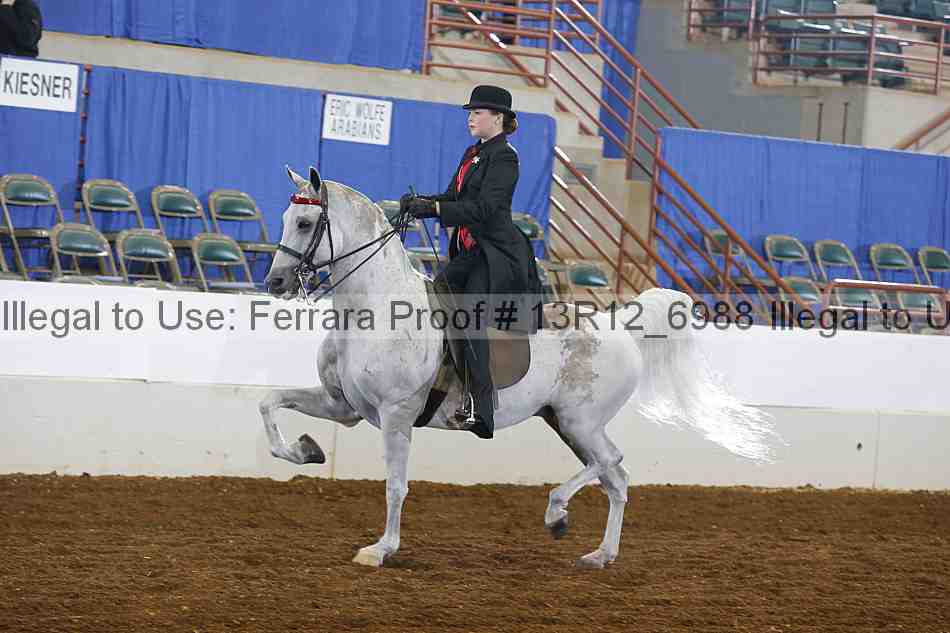 Proof 13r12_6988