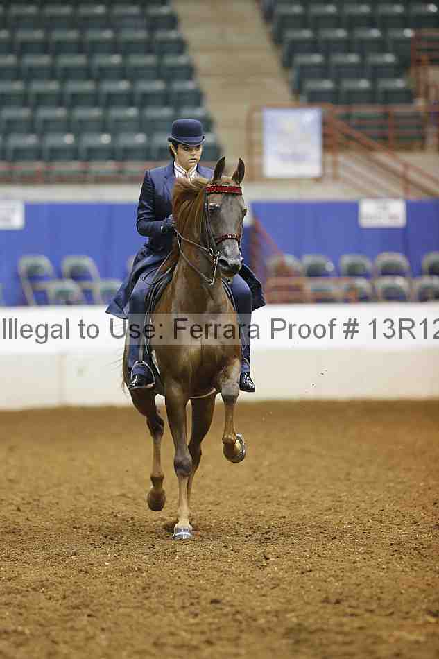 Proof 13r12_6989
