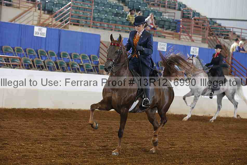 Proof 13r12_6990