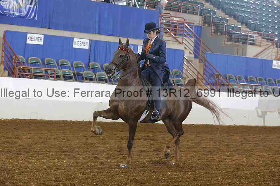 Proof 13r12_6991