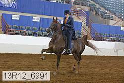 13r12_6991 proof