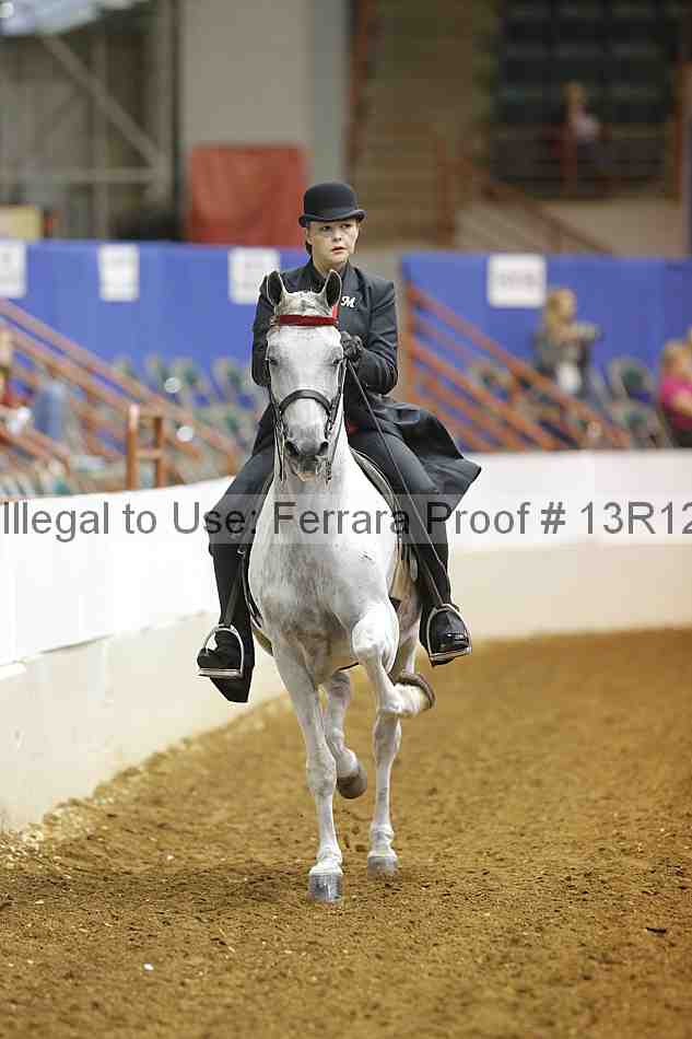 Proof 13r12_6993