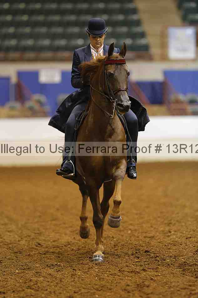 Proof 13r12_6994