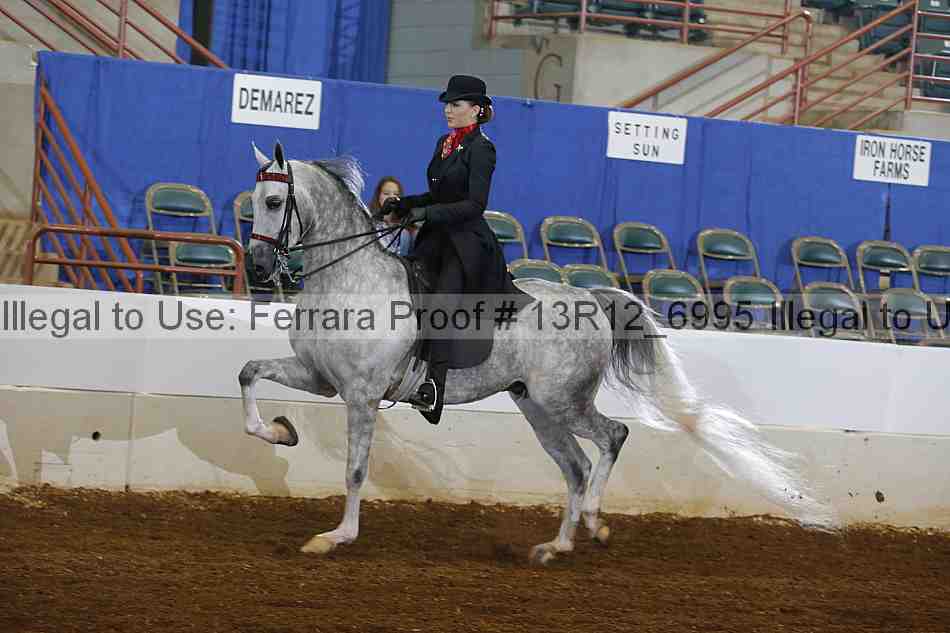 Proof 13r12_6995