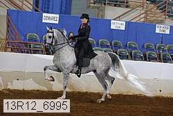 13r12_6995 proof