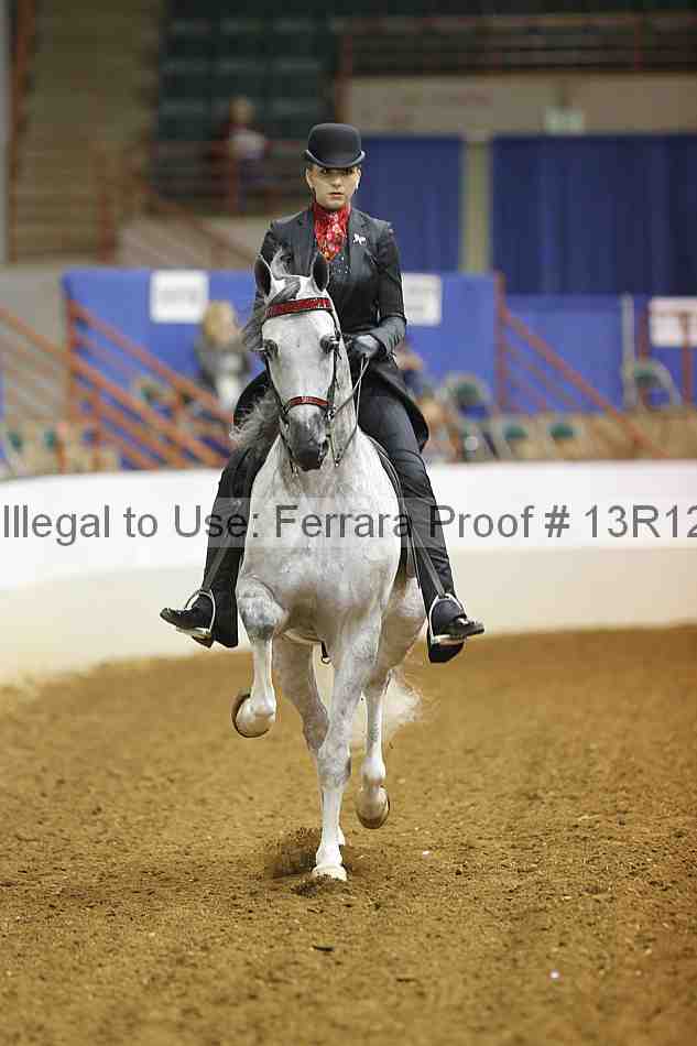 Proof 13r12_6997