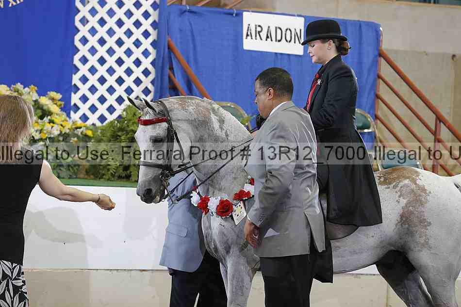 Proof 13r12_7000