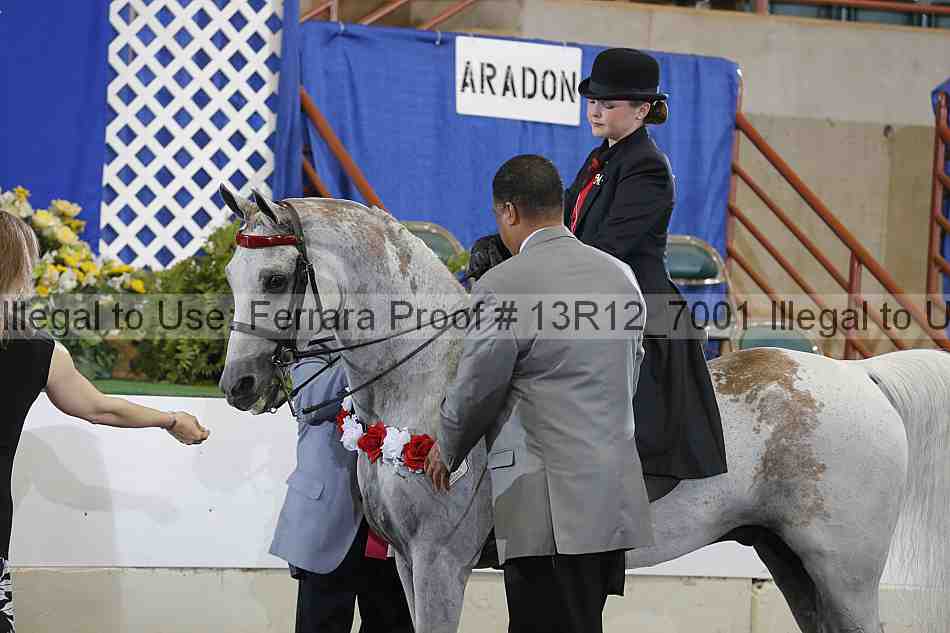 Proof 13r12_7001