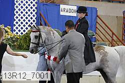 13r12_7001 proof