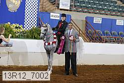 13r12_7002 proof