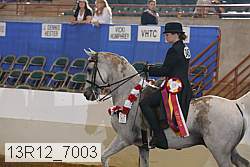 13r12_7003 proof