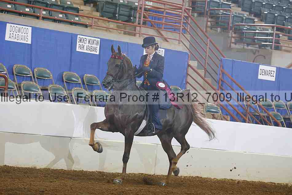 Proof 13r12_7009