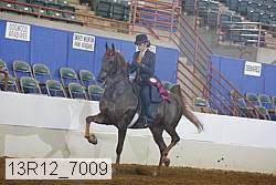 13r12_7009 proof