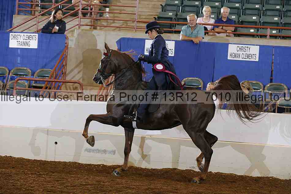 Proof 13r12_7010