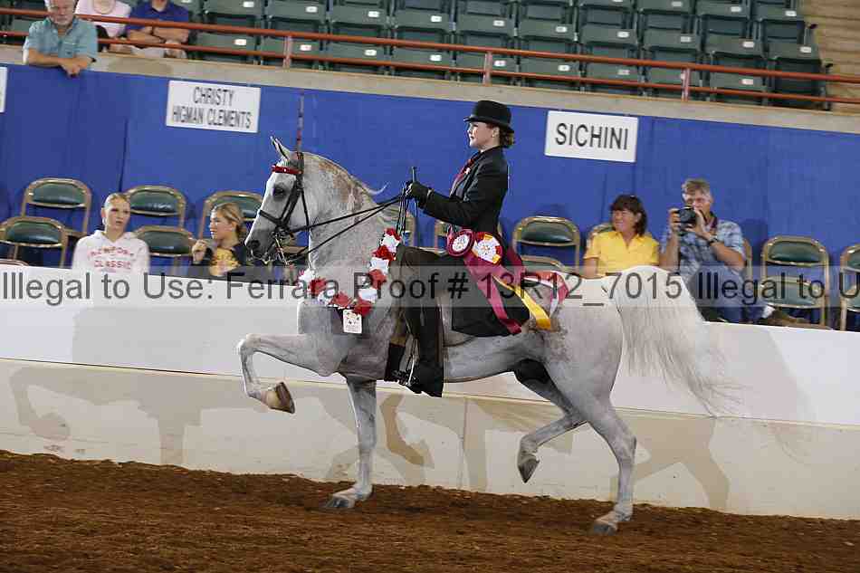 Proof 13r12_7015