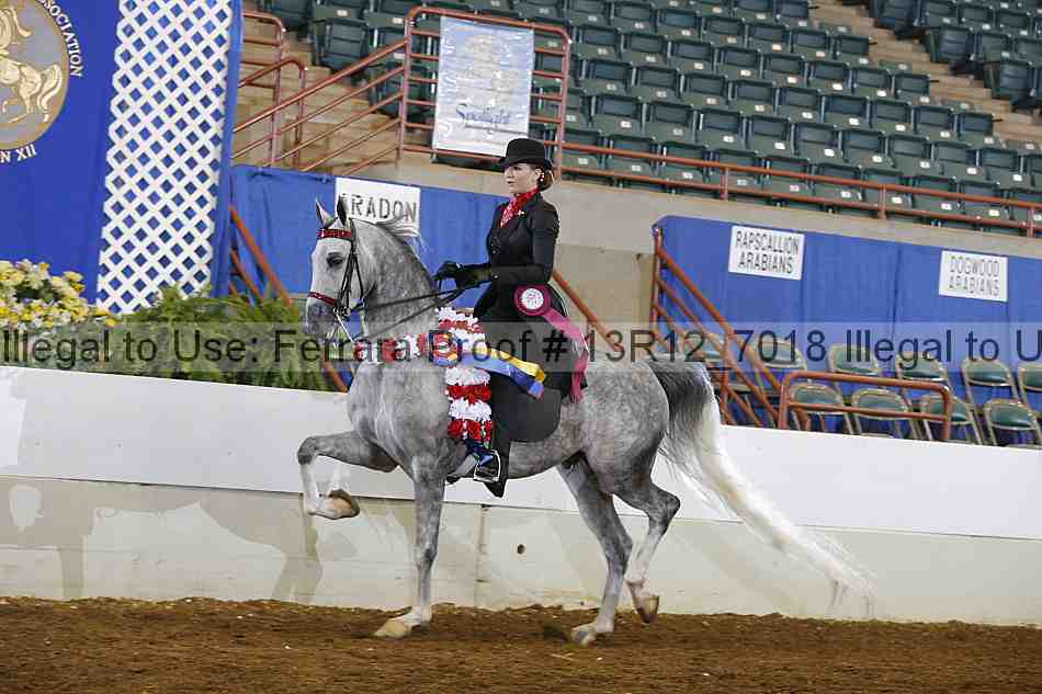 Proof 13r12_7018