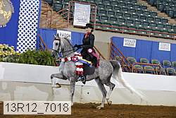 13r12_7018 proof