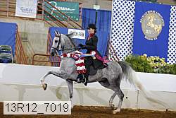 13r12_7019 proof
