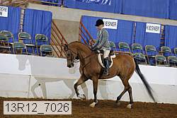 13r12_7026 proof