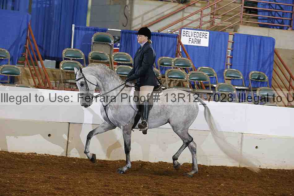 Proof 13r12_7028